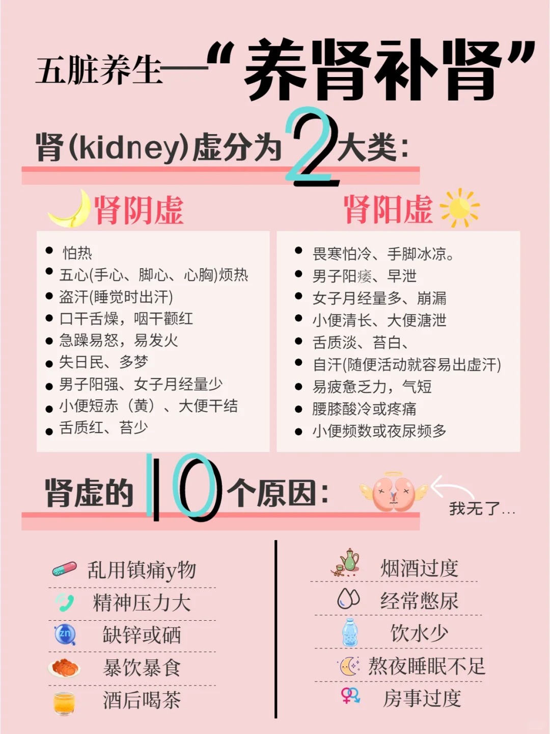 五脏养生 | 养肾篇。男女都要养！肾虚=加速衰老🚨。【肾虚分阴阳】。阴虚怕热🔥 阳虚畏寒❄️。气虚乏力😫 精虚早衰⌛